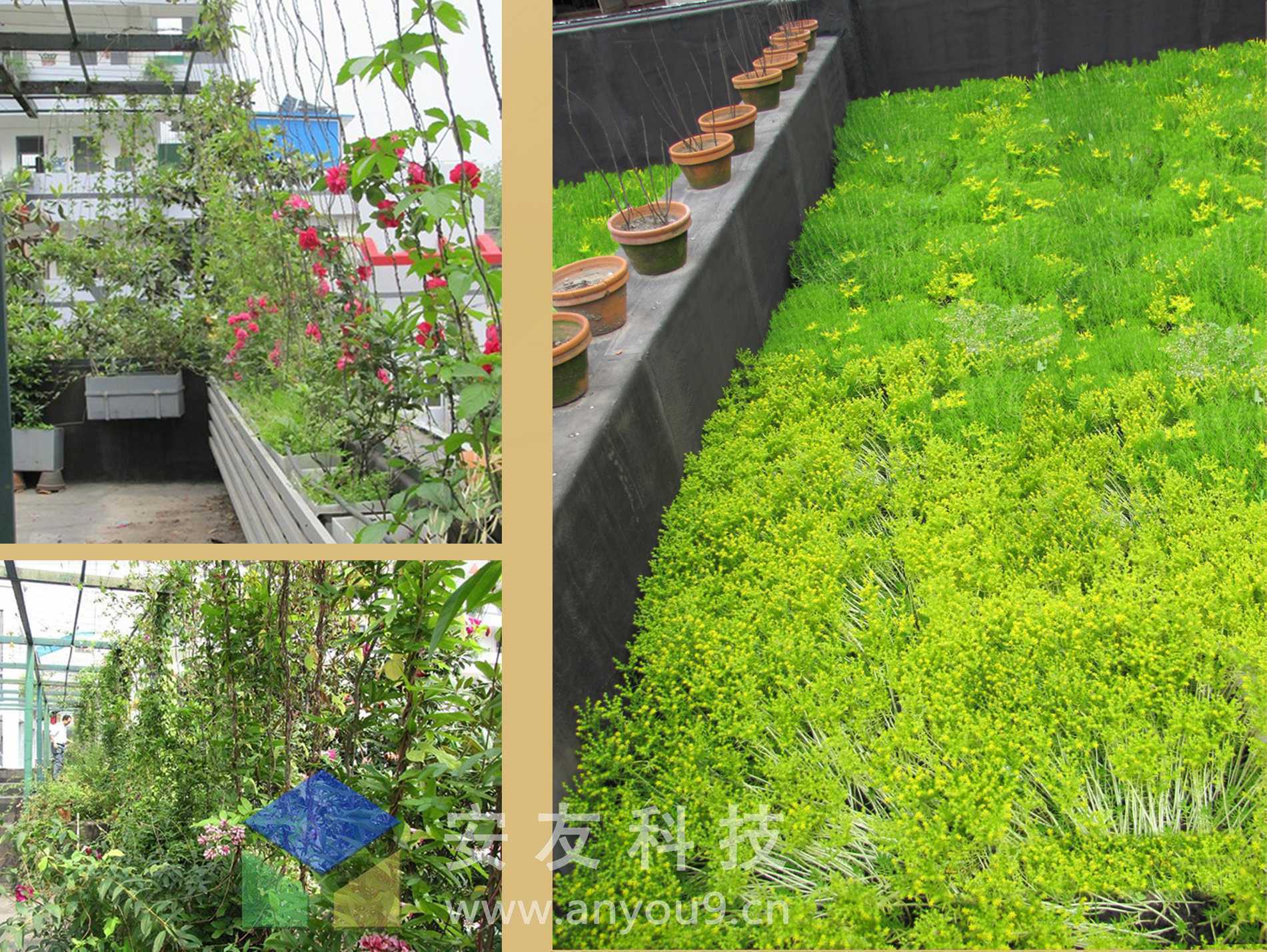 ��h�г~�څ^(q��)�t���С�W��픾G������