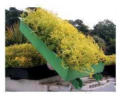 ����ʽ��픾G��