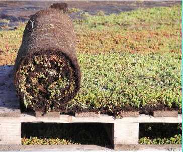 ��̺ʽ�G��2