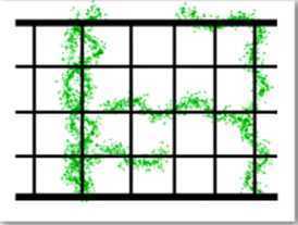 ���N���z��ʽ��2��