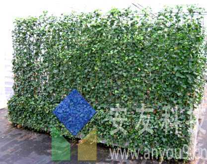 �A�ȳ���ʽ�G����Ԫ