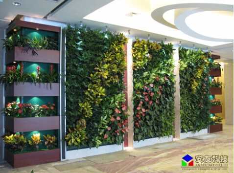 ��ֱ�G�����B(t��i)ֲ�_���̌���