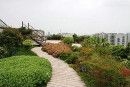 屋頂綠化案例 圖二 屋頂綠化案例 圖二