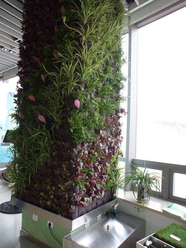 橋柱綠化案例 橋柱綠化案例