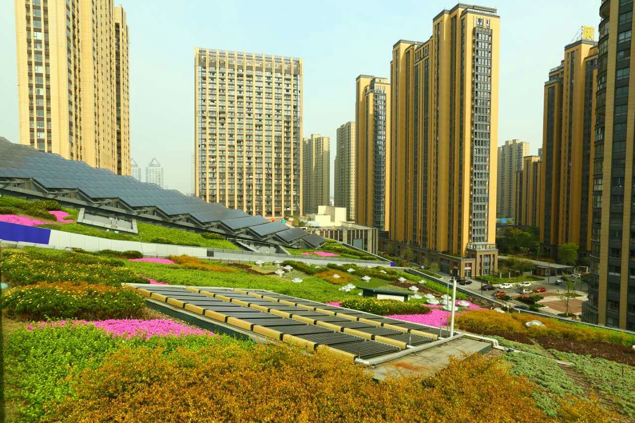 ������픾G��