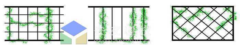 ���zʽ����G�������N��ʽ