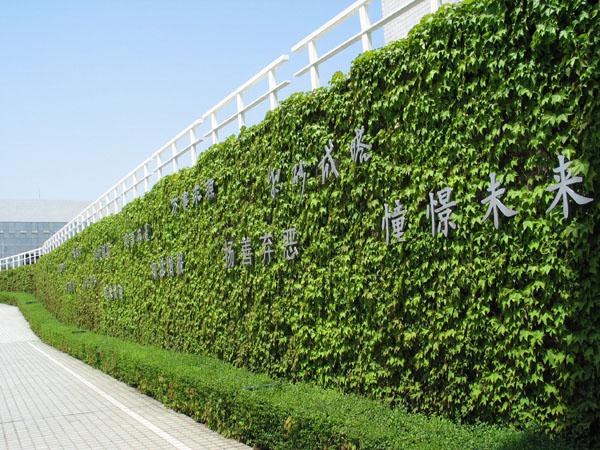 ���zʽ����G�����̈D