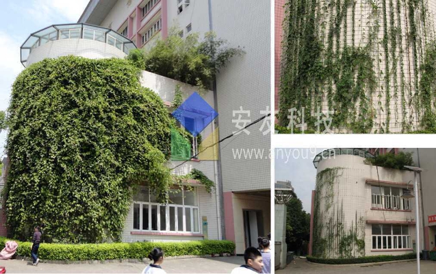 �ֶ����z����G�����g����