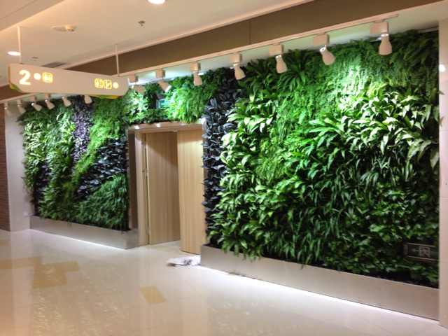 ��ֱ�G����(sh��)��