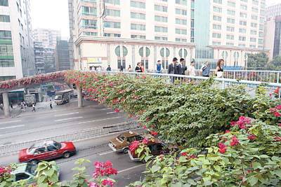 ������G��ʩ������